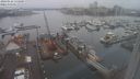./images/victoria/wharf/20240122/wharf20240122_133500.jpg