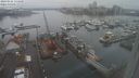 ./images/victoria/wharf/20240122/wharf20240122_134500.jpg