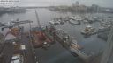 ./images/victoria/wharf/20240122/wharf20240122_135500.jpg