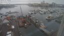./images/victoria/wharf/20240122/wharf20240122_140000.jpg