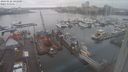 ./images/victoria/wharf/20240122/wharf20240122_141500.jpg