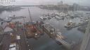 ./images/victoria/wharf/20240122/wharf20240122_142000.jpg