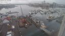 ./images/victoria/wharf/20240122/wharf20240122_142500.jpg
