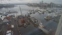 ./images/victoria/wharf/20240122/wharf20240122_145001.jpg