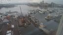 ./images/victoria/wharf/20240122/wharf20240122_145500.jpg