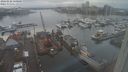 ./images/victoria/wharf/20240122/wharf20240122_150000.jpg