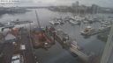 ./images/victoria/wharf/20240122/wharf20240122_150500.jpg