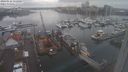 ./images/victoria/wharf/20240122/wharf20240122_151001.jpg