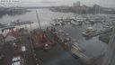./images/victoria/wharf/20240122/wharf20240122_151500.jpg