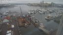 ./images/victoria/wharf/20240122/wharf20240122_153501.jpg