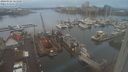 ./images/victoria/wharf/20240122/wharf20240122_163500.jpg