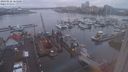 ./images/victoria/wharf/20240122/wharf20240122_165501.jpg