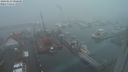 ./images/victoria/wharf/20240123/wharf20240123_080000.jpg