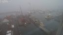 ./images/victoria/wharf/20240123/wharf20240123_080500.jpg