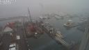 ./images/victoria/wharf/20240123/wharf20240123_082000.jpg