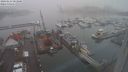 ./images/victoria/wharf/20240123/wharf20240123_083000.jpg