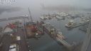./images/victoria/wharf/20240123/wharf20240123_084000.jpg