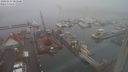 ./images/victoria/wharf/20240123/wharf20240123_085500.jpg