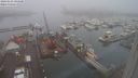 ./images/victoria/wharf/20240123/wharf20240123_094500.jpg