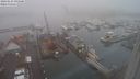 ./images/victoria/wharf/20240123/wharf20240123_095500.jpg