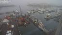 ./images/victoria/wharf/20240123/wharf20240123_100500.jpg