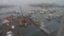 ./images/victoria/wharf/20240123/wharf20240123_101001.jpg