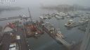 ./images/victoria/wharf/20240123/wharf20240123_101500.jpg