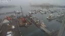 ./images/victoria/wharf/20240123/wharf20240123_102001.jpg