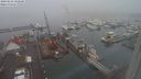 ./images/victoria/wharf/20240123/wharf20240123_102500.jpg