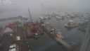 ./images/victoria/wharf/20240123/wharf20240123_105500.jpg