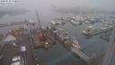 ./images/victoria/wharf/20240123/wharf20240123_110500.jpg