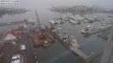 ./images/victoria/wharf/20240123/wharf20240123_111001.jpg