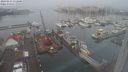 ./images/victoria/wharf/20240123/wharf20240123_111500.jpg