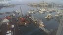 ./images/victoria/wharf/20240123/wharf20240123_112501.jpg