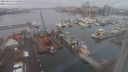 ./images/victoria/wharf/20240123/wharf20240123_114500.jpg