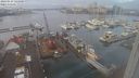 ./images/victoria/wharf/20240123/wharf20240123_121001.jpg