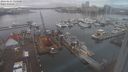 ./images/victoria/wharf/20240123/wharf20240123_135501.jpg
