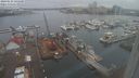 ./images/victoria/wharf/20240123/wharf20240123_145001.jpg