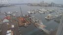 ./images/victoria/wharf/20240123/wharf20240123_145500.jpg