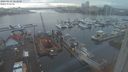 ./images/victoria/wharf/20240123/wharf20240123_163500.jpg