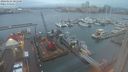 ./images/victoria/wharf/20240124/wharf20240124_081500.jpg