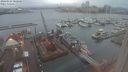 ./images/victoria/wharf/20240124/wharf20240124_082500.jpg