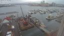 ./images/victoria/wharf/20240124/wharf20240124_083000.jpg