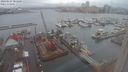 ./images/victoria/wharf/20240124/wharf20240124_083500.jpg