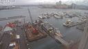 ./images/victoria/wharf/20240124/wharf20240124_084500.jpg