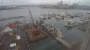 ./images/victoria/wharf/20240124/wharf20240124_085001.jpg