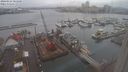 ./images/victoria/wharf/20240124/wharf20240124_085500.jpg