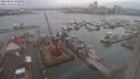 ./images/victoria/wharf/20240124/wharf20240124_090000.jpg