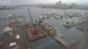 ./images/victoria/wharf/20240124/wharf20240124_090500.jpg