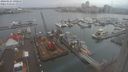 ./images/victoria/wharf/20240124/wharf20240124_091000.jpg